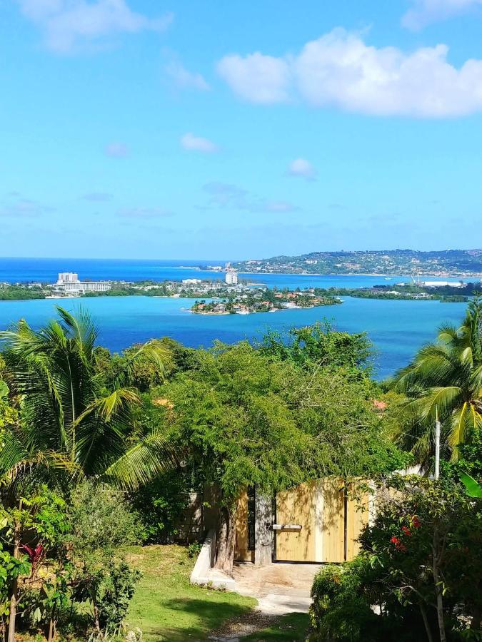 Palm Leaf Cottage Montego Bay Extérieur photo